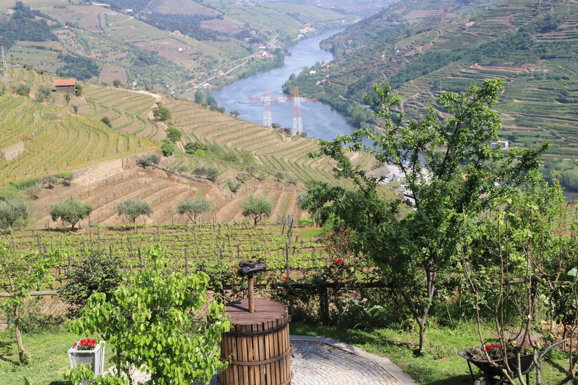 メザン・フリーオ Casa Vale Do Douro Bed & Breakfast エクステリア 写真